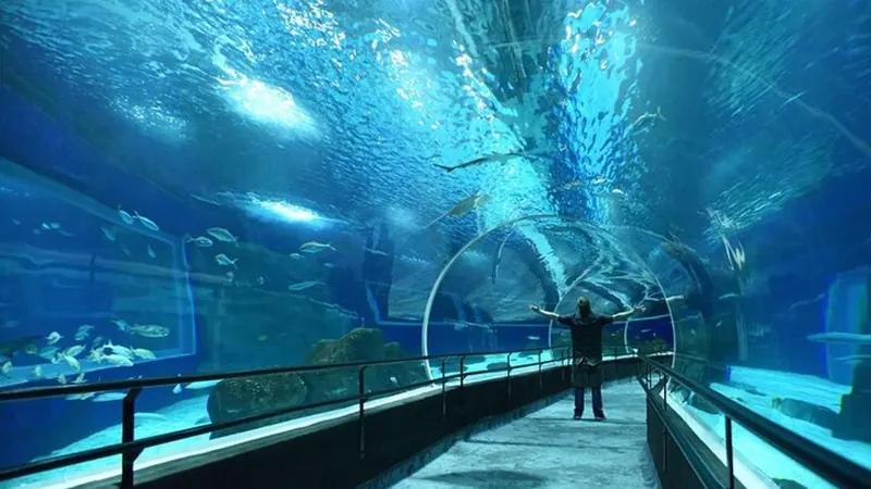 Ingresso para o AquaRio, o aquário do Rio